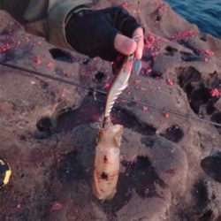 リリースサイズばっかり(･･;)