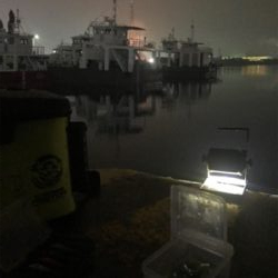 雨の中渋いヒイカ釣り(><)