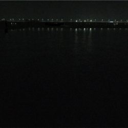 良型アジとチビメバル