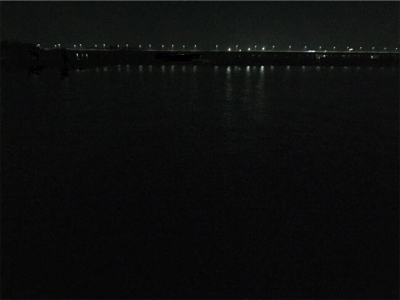 良型アジとチビメバル