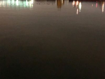 久しぶりのタッチー調査