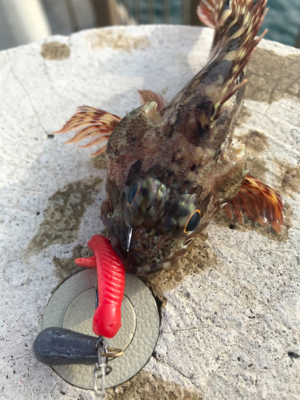 デイでライトゲーム