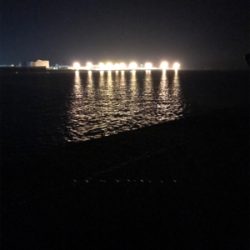 メバル夜釣り