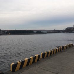 大浜埠頭でアジング修行のつもりが…