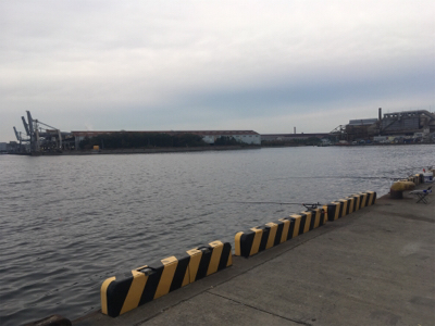 大浜埠頭でアジング修行のつもりが…