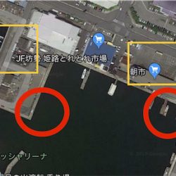 極寒のヒイカ釣り☆GUNNING-STYLE