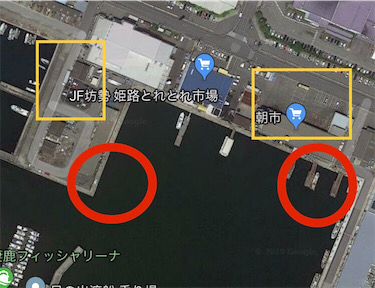 極寒のヒイカ釣り☆GUNNING-STYLE