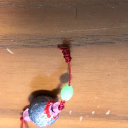 シーズン本格化!