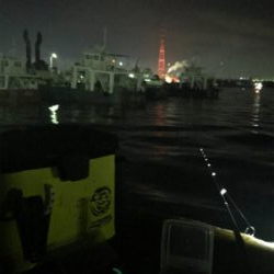 やっぱり渋いヒイカ釣り(＞＜)