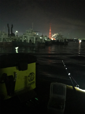 やっぱり渋いヒイカ釣り(＞＜)