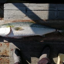 今年の締めにふさわしく！