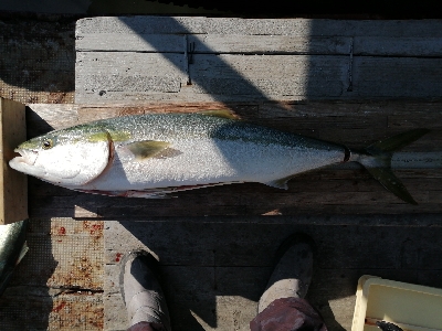 今年の締めにふさわしく！
