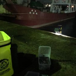 久しぶりにヒイカプチ地合い(^｡^)