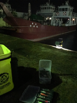 久しぶりにヒイカプチ地合い(^｡^)