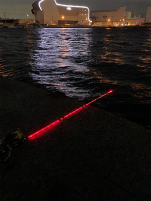 ナイトセーバーでアナゴ