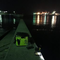 仕事の合間にヒイカ釣りσ(^_^;)