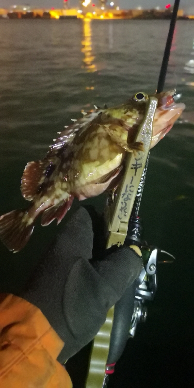 アジング練習 87