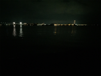 2019年 釣り納め