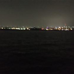 でかアジ入れ食い