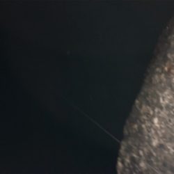 エギングでまさかの…