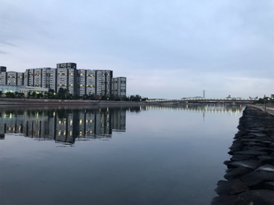 良型タケノコメバル