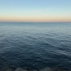 釣り納めばりんぐ！