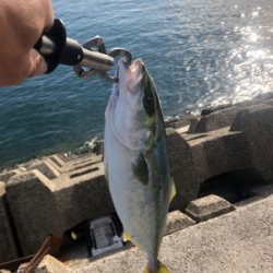 久しぶりの釣り