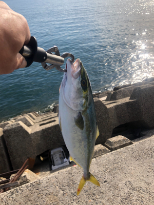 久しぶりの釣り