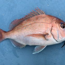 当たり1面湧いた