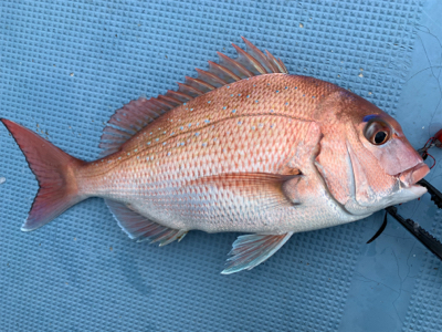 当たり1面湧いた