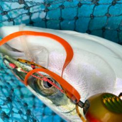 令和最初の年末釣り納め　自己新記録