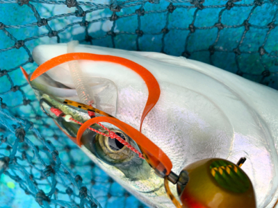 令和最初の年末釣り納め　自己新記録