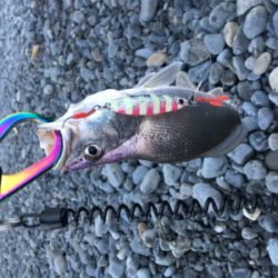 初魚種連チャンw