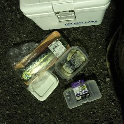 ちょいデカガシラ