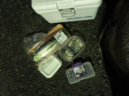 ちょいデカガシラ