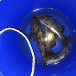 小さいけどポツポツと