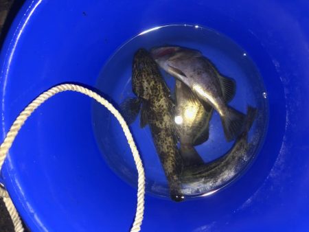 小さいけどポツポツと