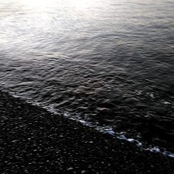 アタリはあるのですか・・・・・　