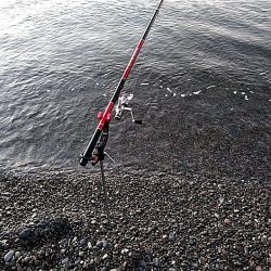 今日は、当たりが多かったです！！