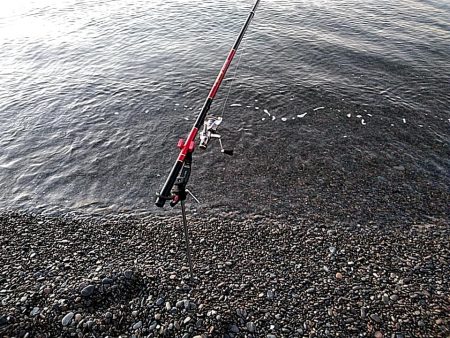 今日は、当たりが多かったです！！