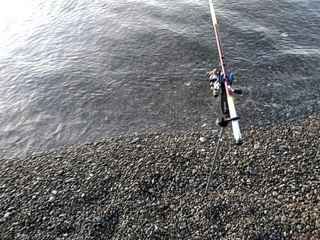 アタリはありますが、小型でした!!