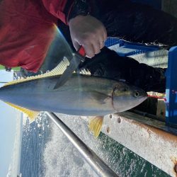 年末最後のジギング