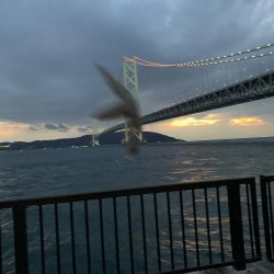 コブダイにご注意を…