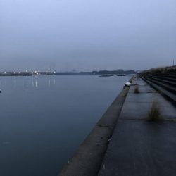 イチノ兄弟、釣果！