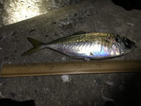 なぜ休みはいつも風が強いのさ