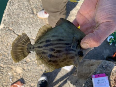 今年ラストの紀州釣り
