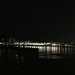 アジ、メバル良好