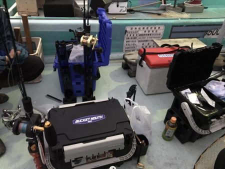 浅川沖でアオリイカ