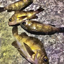 風に邪魔された