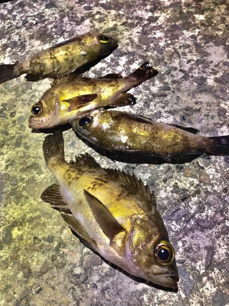 風に邪魔された